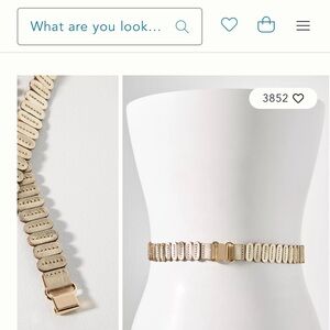 Anthropologie Stretch Gold Belt S